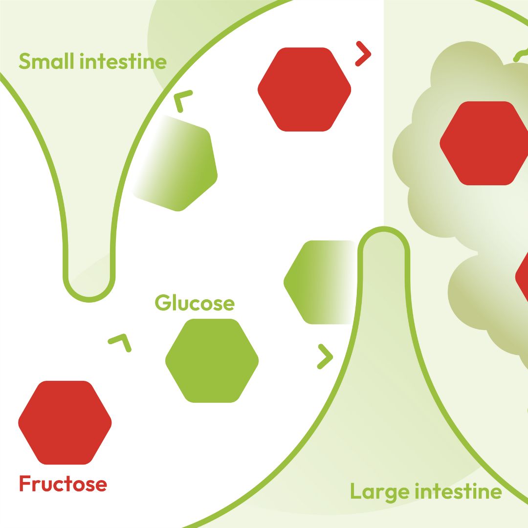 What Is Fructose Intolerance 